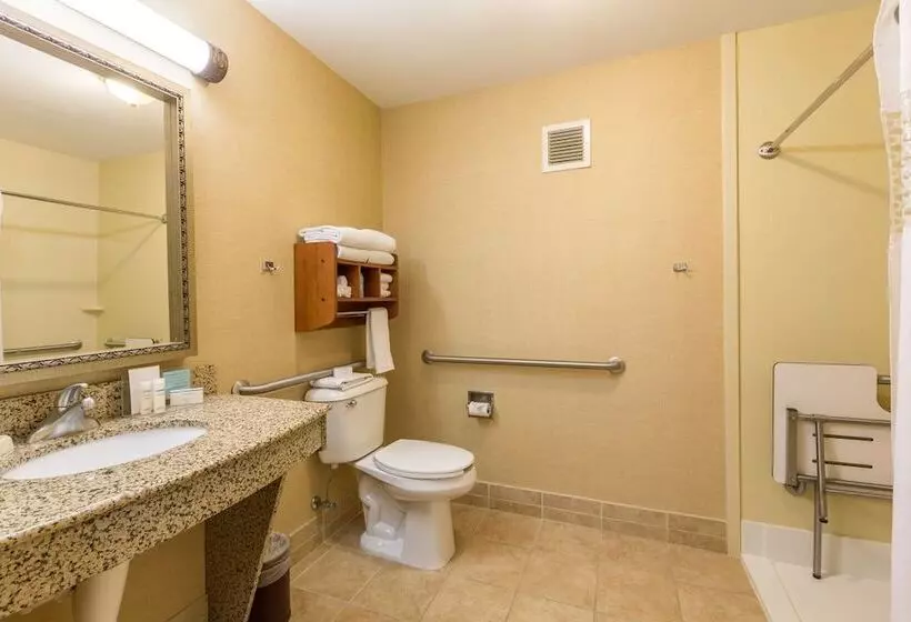 身障者適用スタンダードルーム, Hampton Inn Sidney