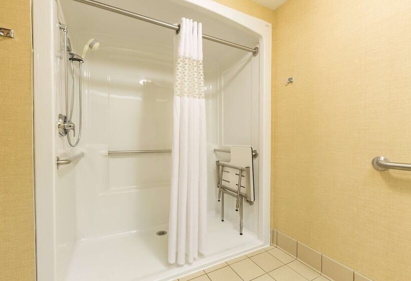 غرفة قياسية لذوى الاحتياجات الخاصة, Hampton Inn Sidney