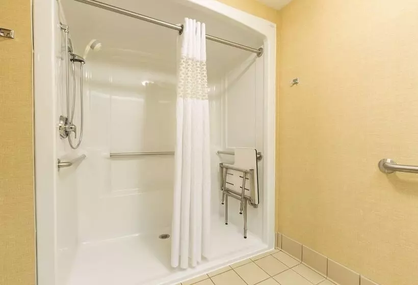 身障者適用スタンダードルーム, Hampton Inn Sidney