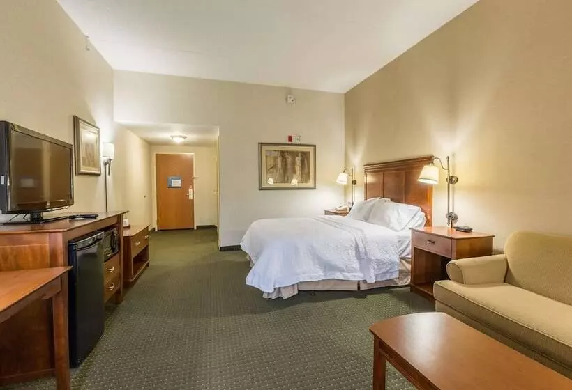 身障者適用スタンダードルーム, Hampton Inn Sidney