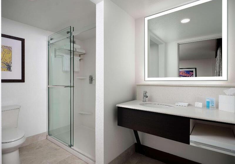 Люкс Кровать Кинг, Hampton Inn & Suites Austindowntown/convention Center