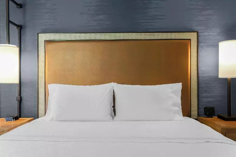 اتاق پرمیوم, Hampton Inn & Suites Austindowntown/convention Center