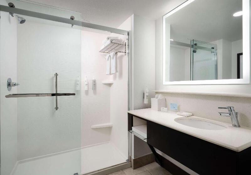 חדר פרמיום, Hampton Inn & Suites Austindowntown/convention Center