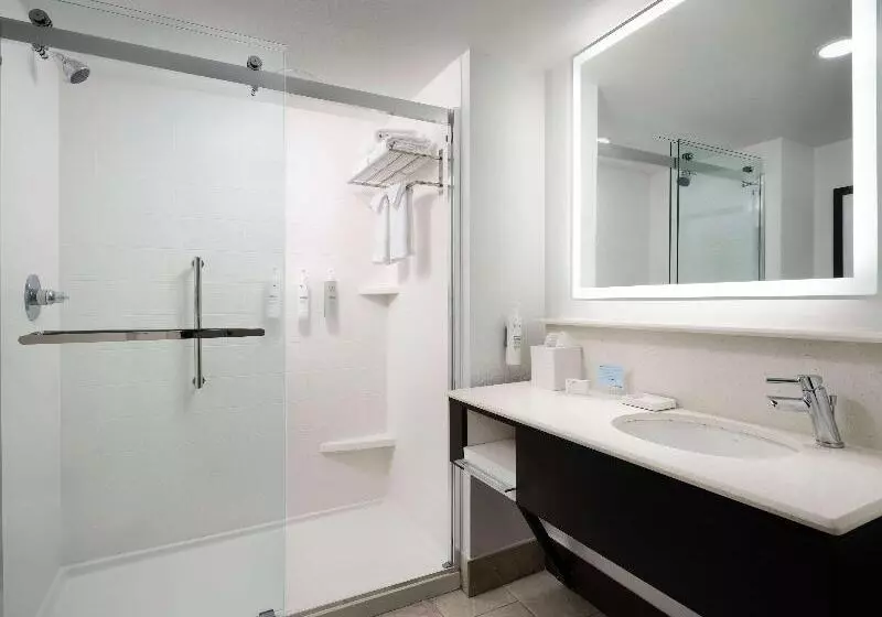 اتاق پرمیوم, Hampton Inn & Suites Austindowntown/convention Center