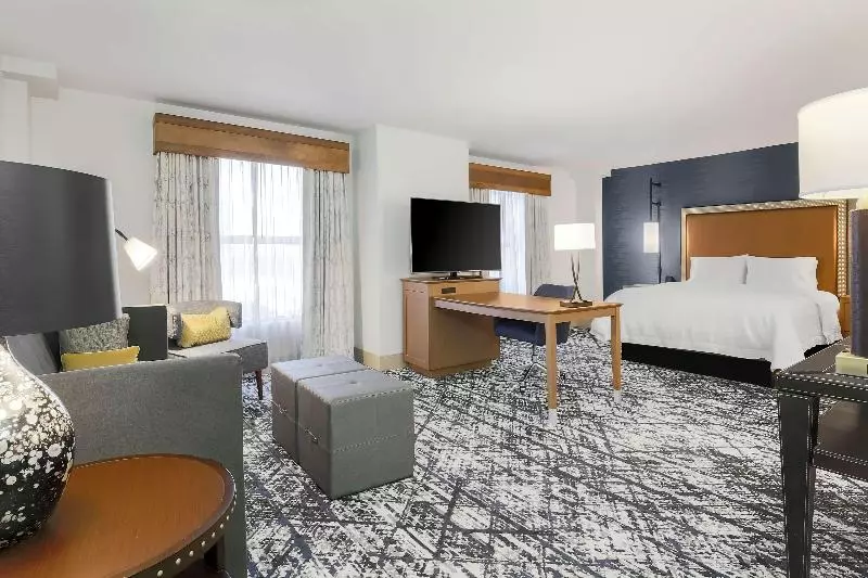 استودیو استاندارد با تخت کینگ, Hampton Inn & Suites Austindowntown/convention Center