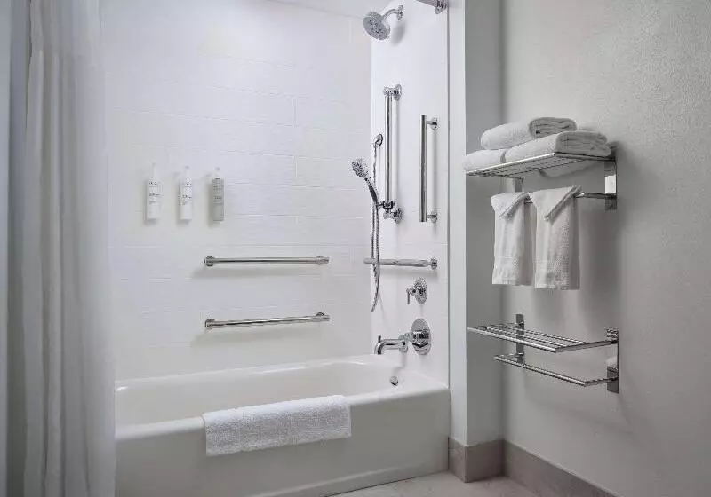 استودیو استاندارد با تخت کینگ, Hampton Inn & Suites Austindowntown/convention Center