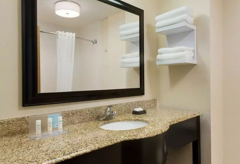 スタンダードルーム, Hampton Inn & Suites Houston/clear Lakenasa Area