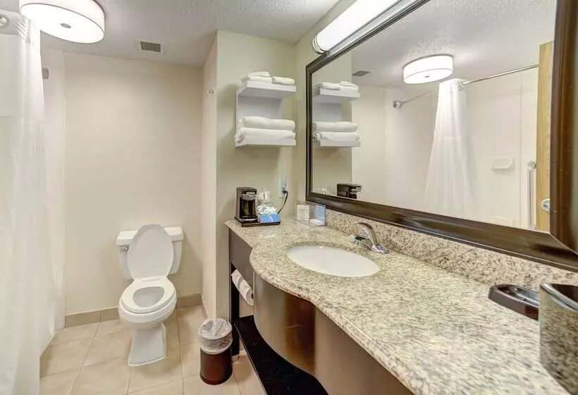 スタンダードルーム, Hampton Inn & Suites Houston/clear Lakenasa Area