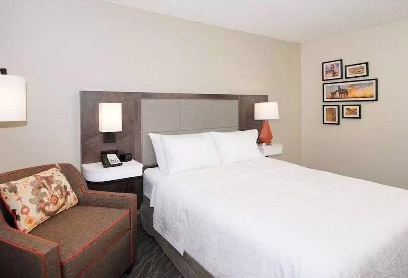 スタンダードルーム, Hampton Inn & Suites N. Ft. Worthalliance Airport