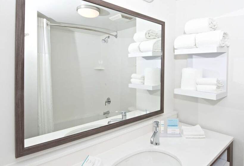 غرفة قياسية لذوى الاحتياجات الخاصة, Hampton Inn & Suites N. Ft. Worthalliance Airport