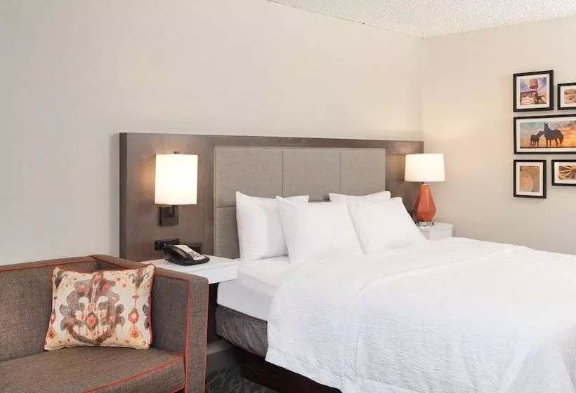 身障者適用スタンダードルーム, Hampton Inn & Suites N. Ft. Worthalliance Airport