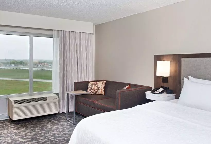 身障者適用スタンダードルーム, Hampton Inn & Suites N. Ft. Worthalliance Airport