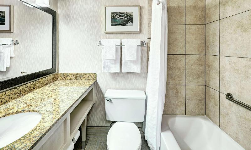 스탠다드 룸 킹사이즈 침대, Hampton Inn Wilmington Medical Park