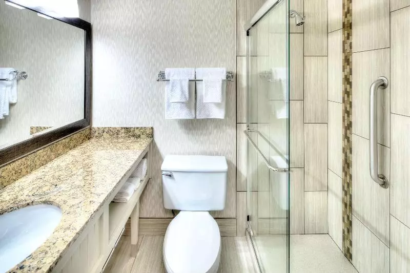 اتاق استاندارد با تخت بزرگ, Hampton Inn Wilmington Medical Park