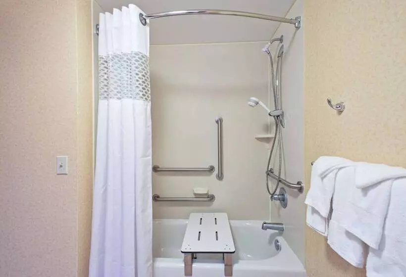 身障者適用スタンダードルーム, Hampton Inn Winfield/teays Valley