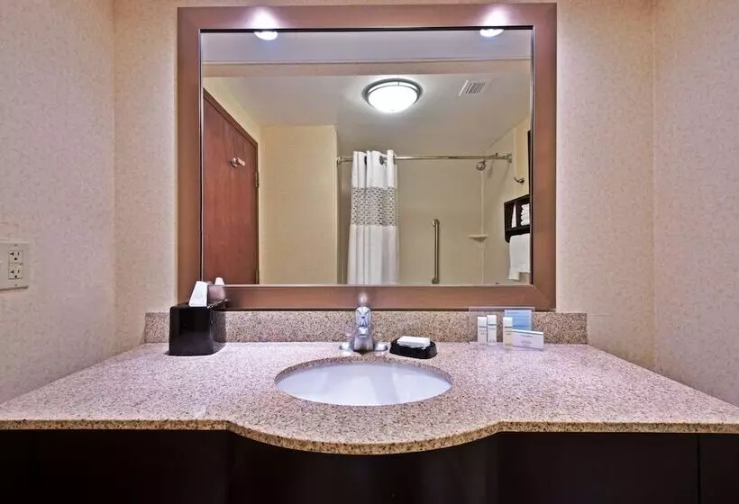 身障者適用スタンダードルーム, Hampton Inn Winfield/teays Valley