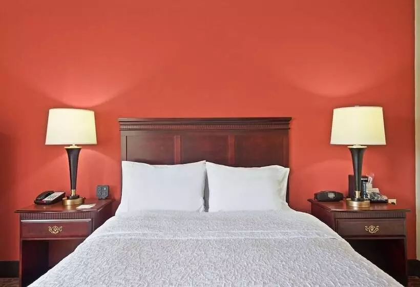 身障者適用スタンダードルーム, Hampton Inn Winfield/teays Valley