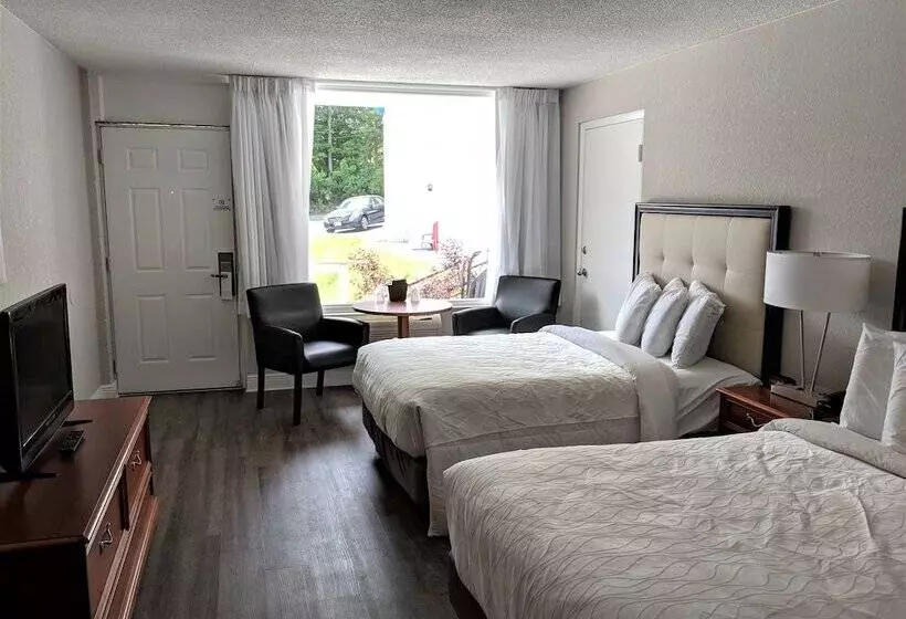 Standard Room 2 Double Beds