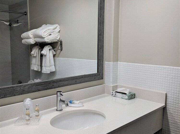 带2个双人床的标准工作室, Lakefront Terrace Resort