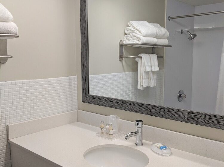 带2个双人床的标准工作室, Lakefront Terrace Resort