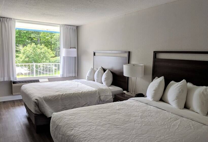 带2个双人床的标准工作室, Lakefront Terrace Resort