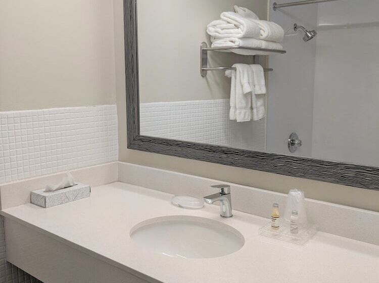 带2个双人床的标准工作室, Lakefront Terrace Resort