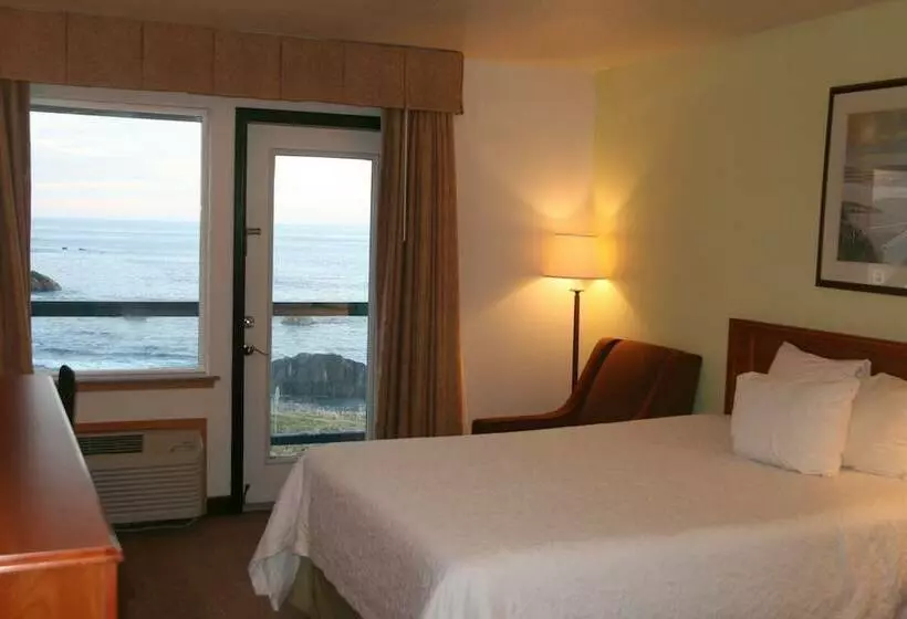 オーシャンビューのスタンダードシングルルーム, Oceanfront Lodge