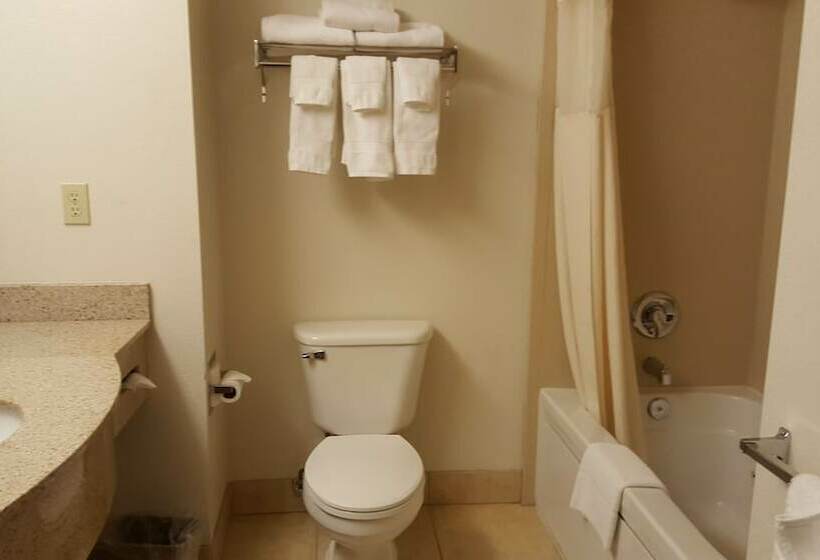 オーシャンビューのスタンダードシングルルーム, Oceanfront Lodge