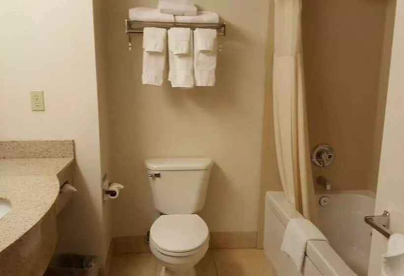 オーシャンビューのスタンダードシングルルーム, Oceanfront Lodge