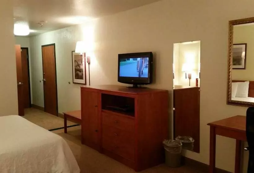 オーシャンビューのスタンダードシングルルーム, Oceanfront Lodge