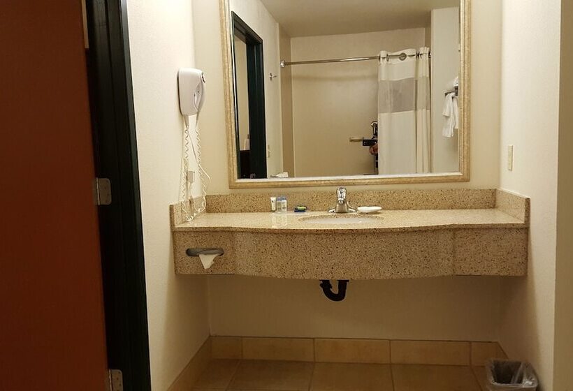 オーシャンビューのスタンダードシングルルーム, Oceanfront Lodge