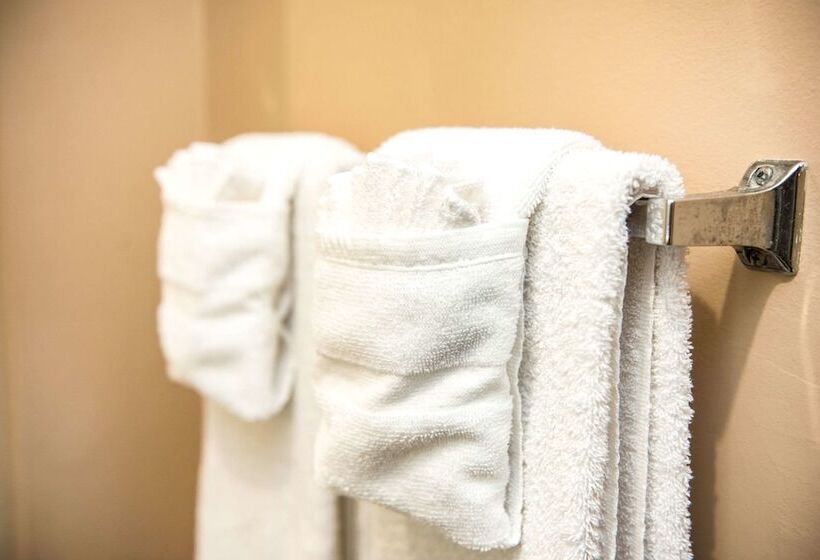 套房, Suburban Studios Charlotteballantyne