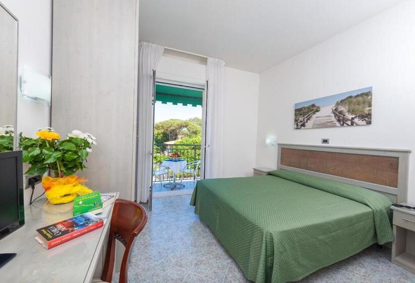 غرفة قياسية, Suisse