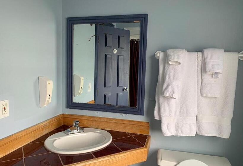 스탠다드 스튜디오, Lakeview