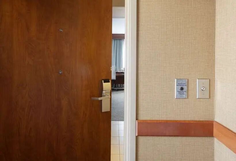 اتاق استاندارد با تخت بزرگ, Hilton Miami Aventura