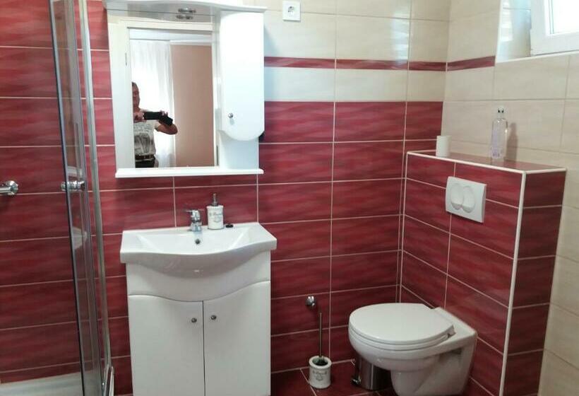 חדר סטנדרט, Ezüstfenyő Vendégház