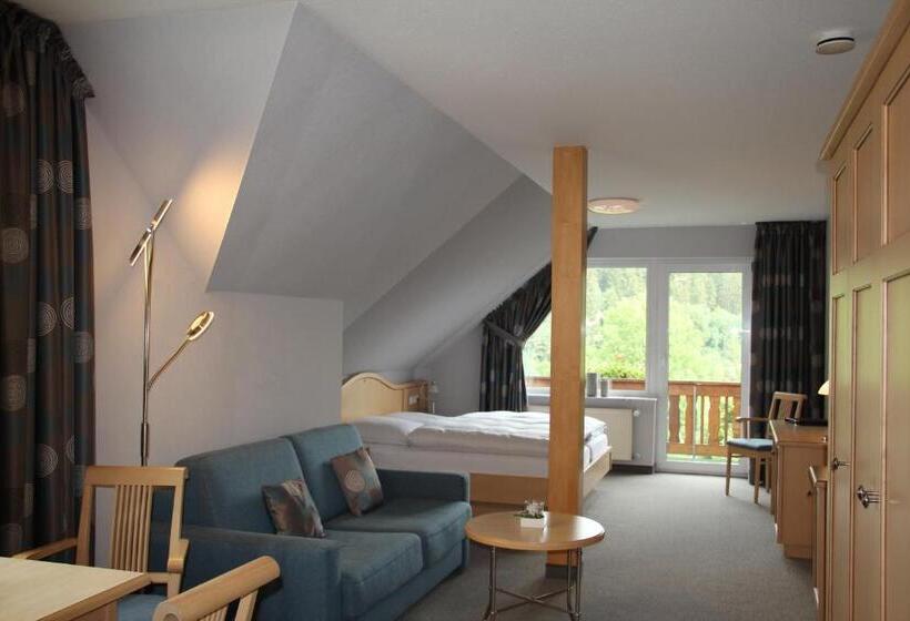 Apartament 1 Sypialnia z Balkonem, Haus Kieferneck