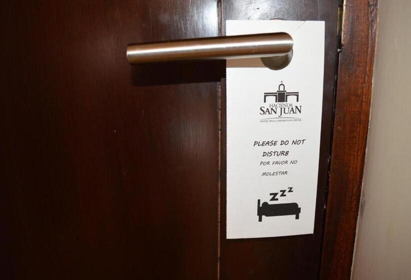 غرفة قياسية, Hacienda San Juan Resort
