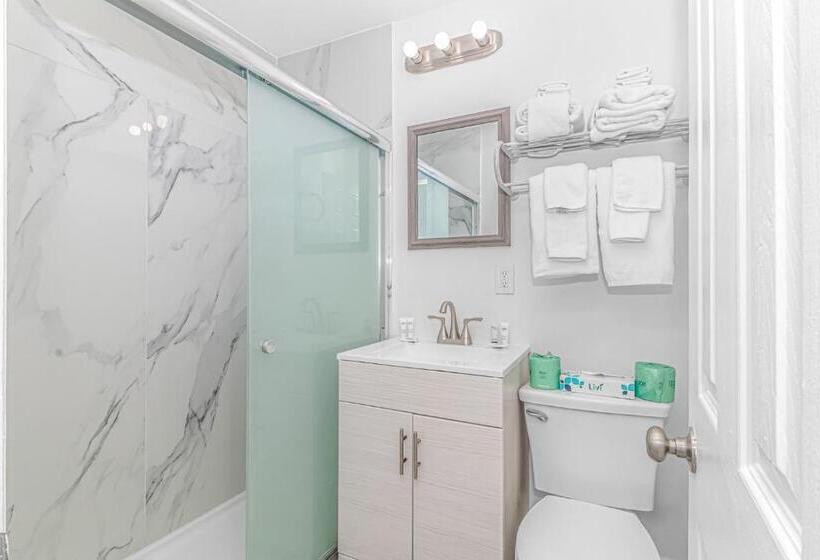 סטודיו דלוקס, Sun Fun