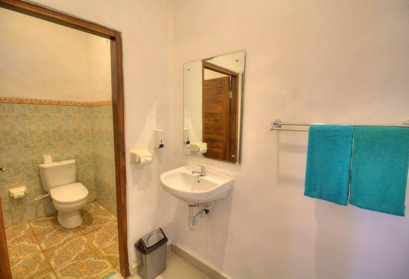 חדר סטנדרט מיטה זוגית, Ary's Guest House