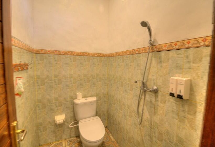 חדר סטנדרט מיטה זוגית, Ary's Guest House