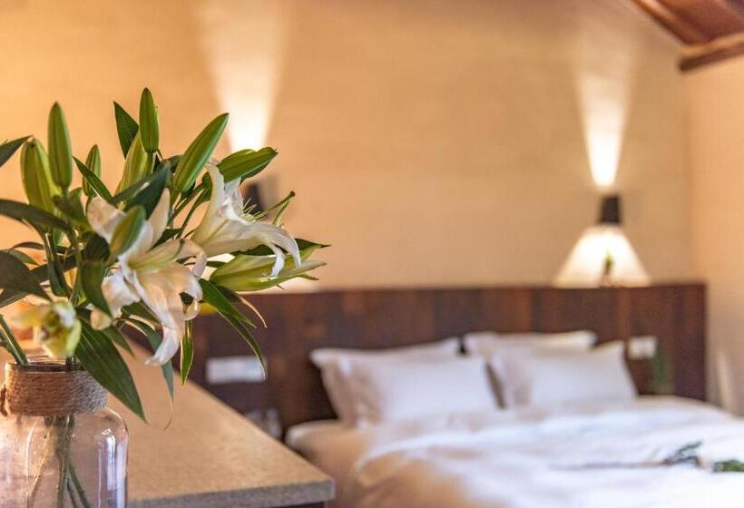 스탠다드 테라스 룸, Mohe Hostel