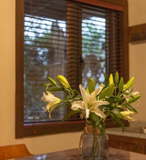 스탠다드 테라스 룸, Mohe Hostel