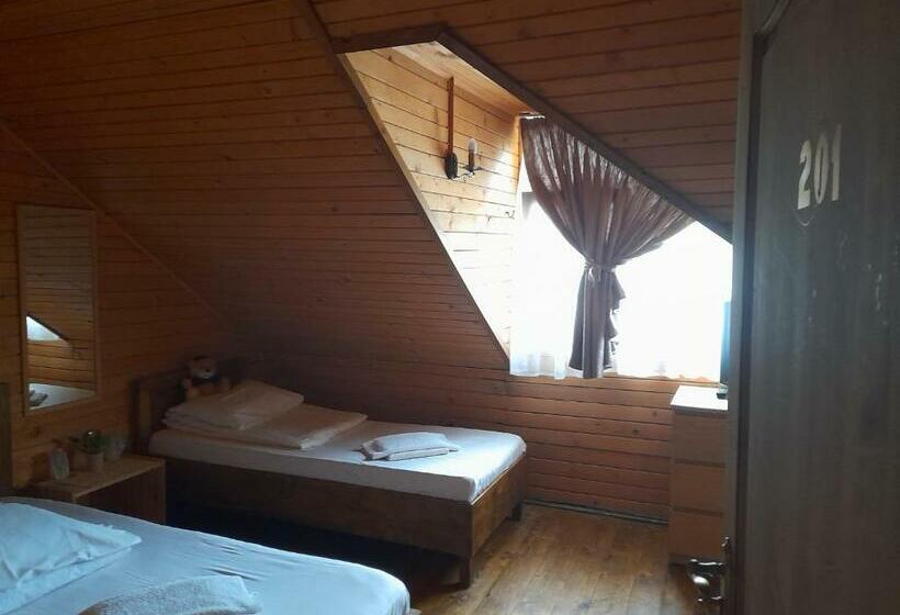 スタンダードトリプルルーム, Pensiunea Trei Ponei