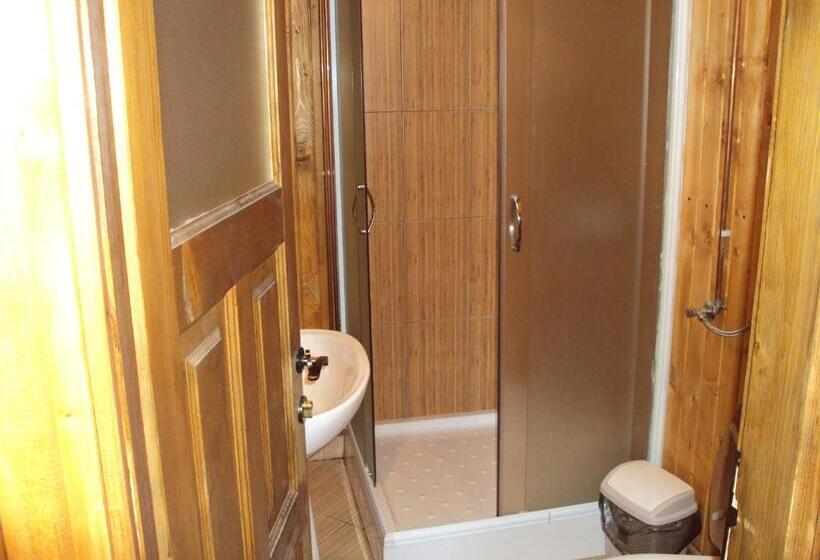 スタンダードトリプルルーム, Pensiunea Trei Ponei