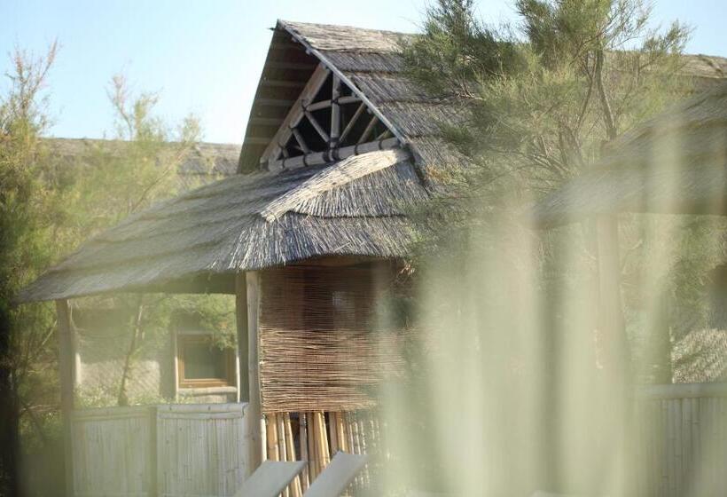 בקתה סטנדרטית, Kon Tiki