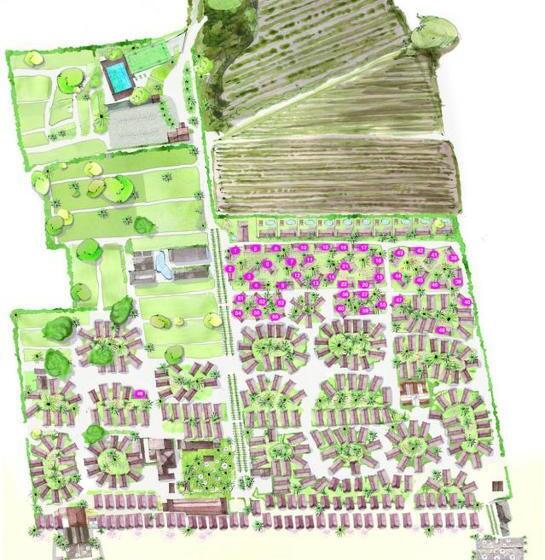 בונגלו משפחתי, Kon Tiki