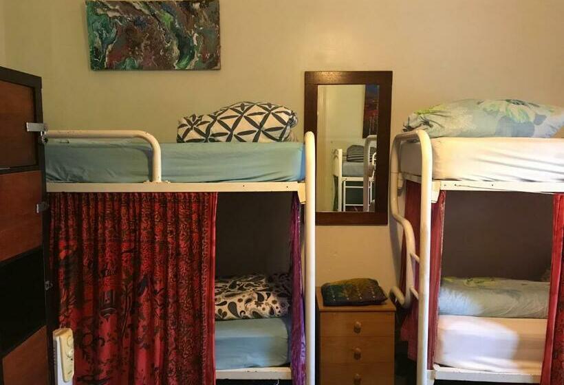 Кровать в Общей Комнате, Flying Fox Backpackers