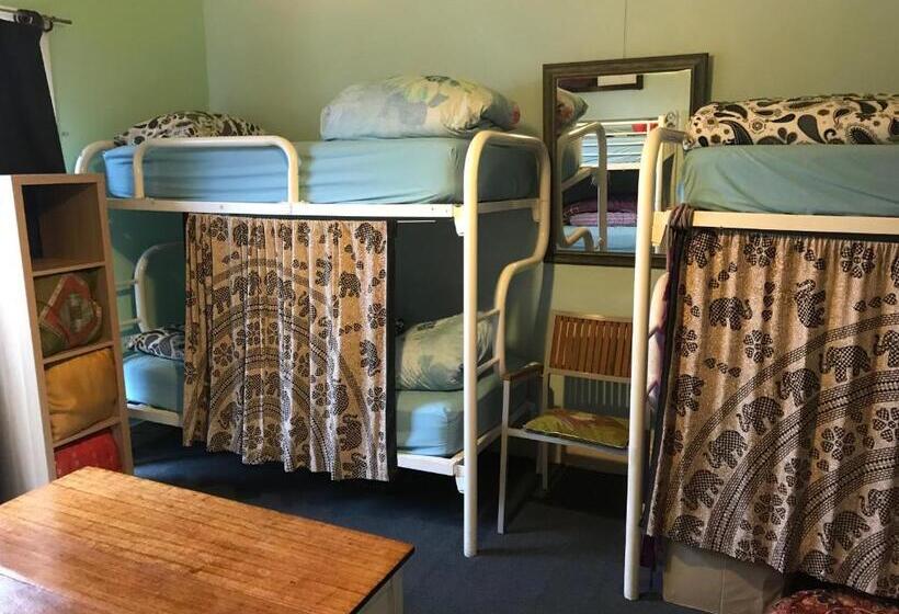 سرير فى غرفة مشتركه, Flying Fox Backpackers