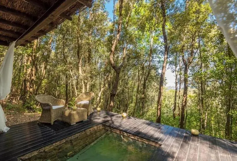 プール付きジュニアスイート, Experience Relais  Il Termine Elba